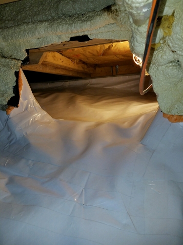 Crawl Space Encapsulation Newton MA