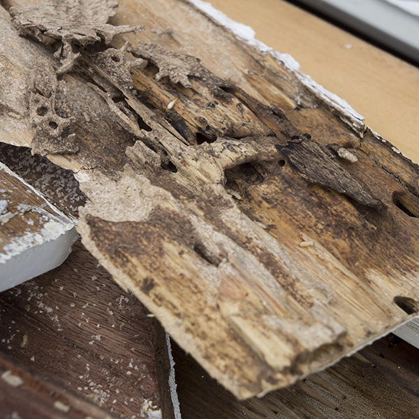 Basement Waterproofing Contractor - Wet Foundation Repair - rotting