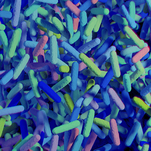 Microscopic view of bacteria