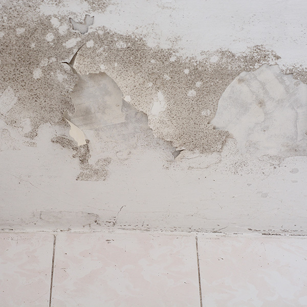 Dehumidifier services by Premier Basement Waterproofing in Lunenburg, MA